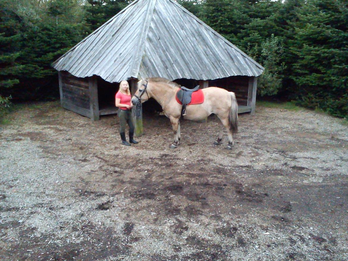 Oliver i soldaterskoven 2 gang billede 42