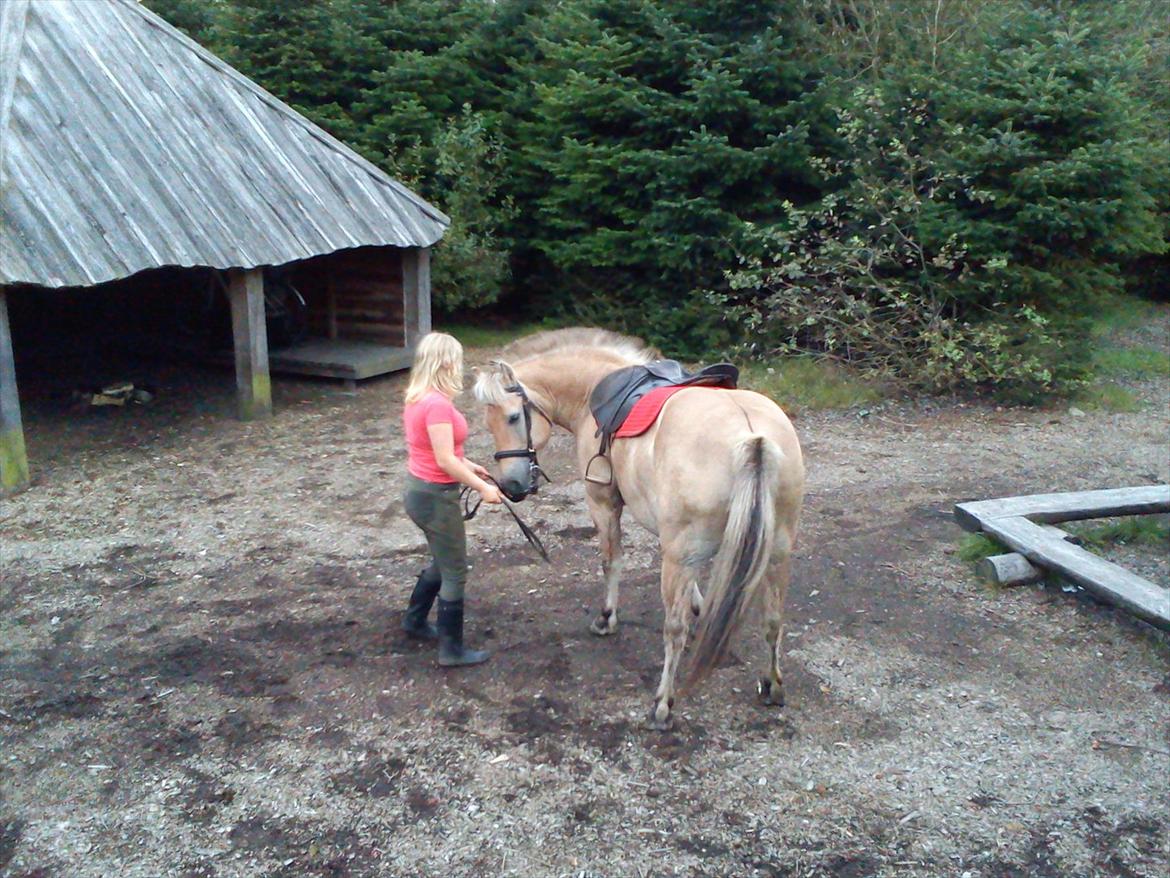 Oliver i soldaterskoven 2 gang billede 45