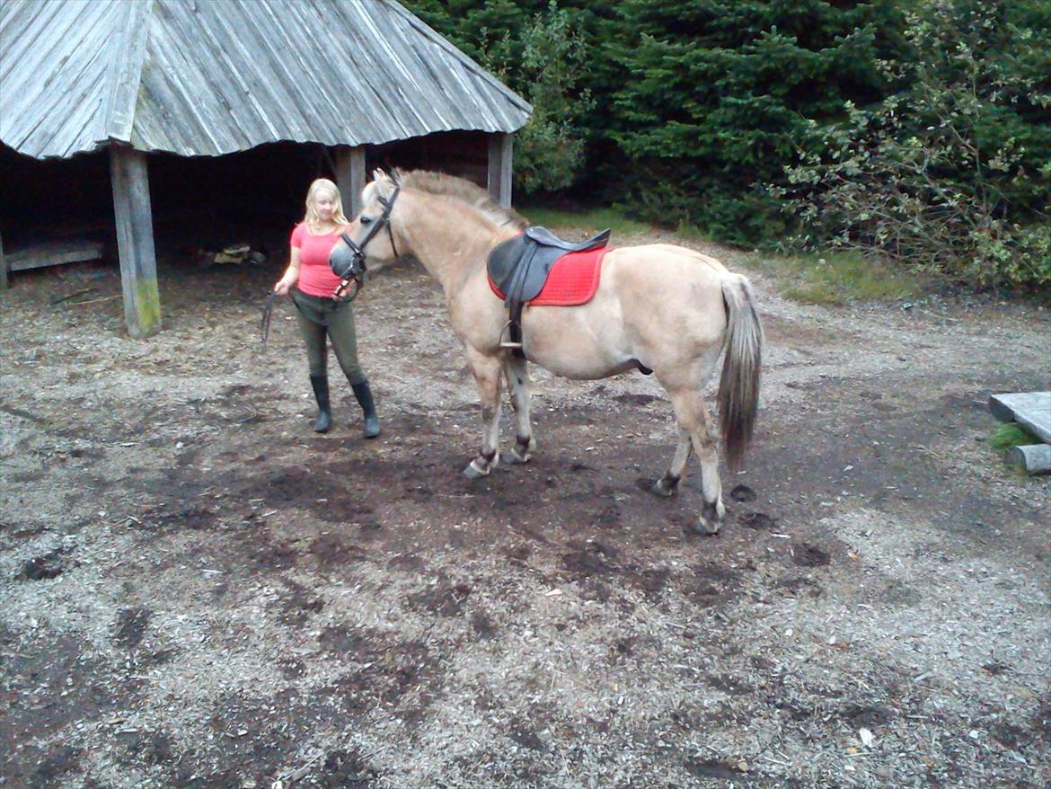 Oliver i soldaterskoven 2 gang billede 46