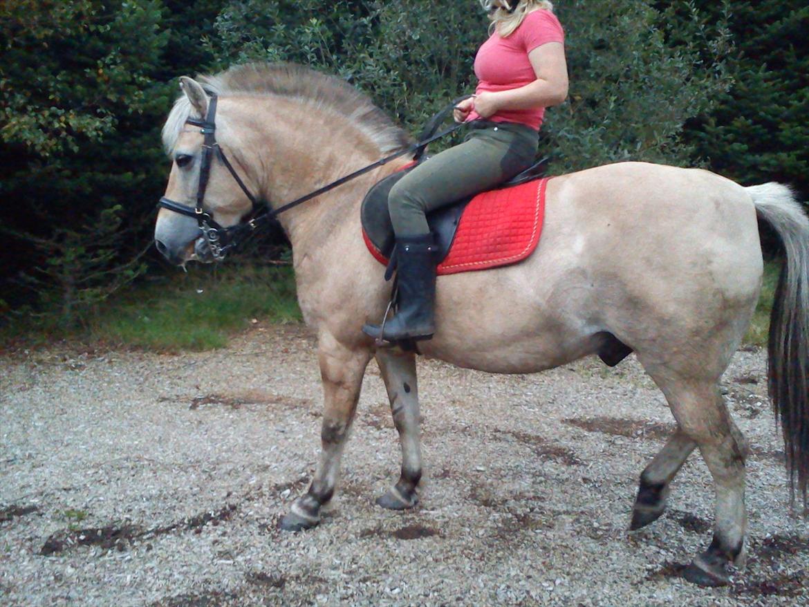 Oliver i soldaterskoven 2 gang billede 47