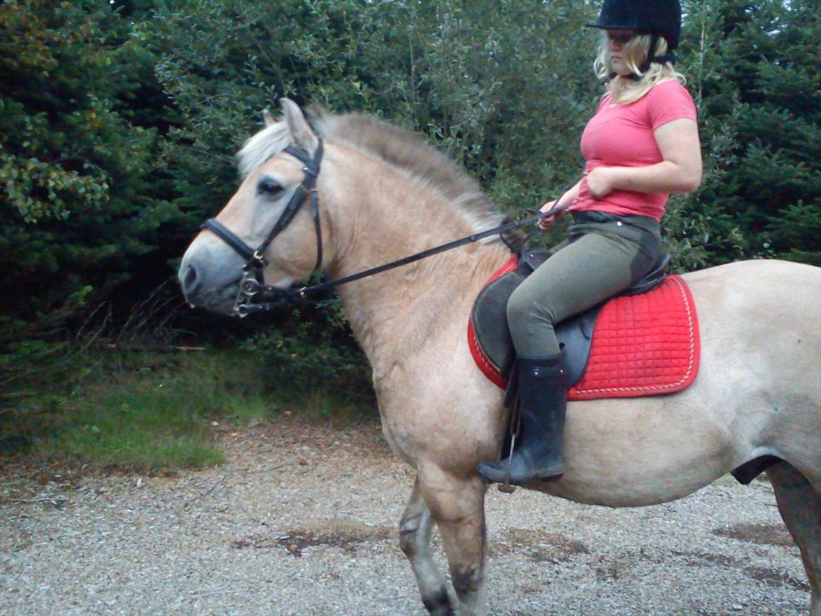 Oliver i soldaterskoven 2 gang billede 48