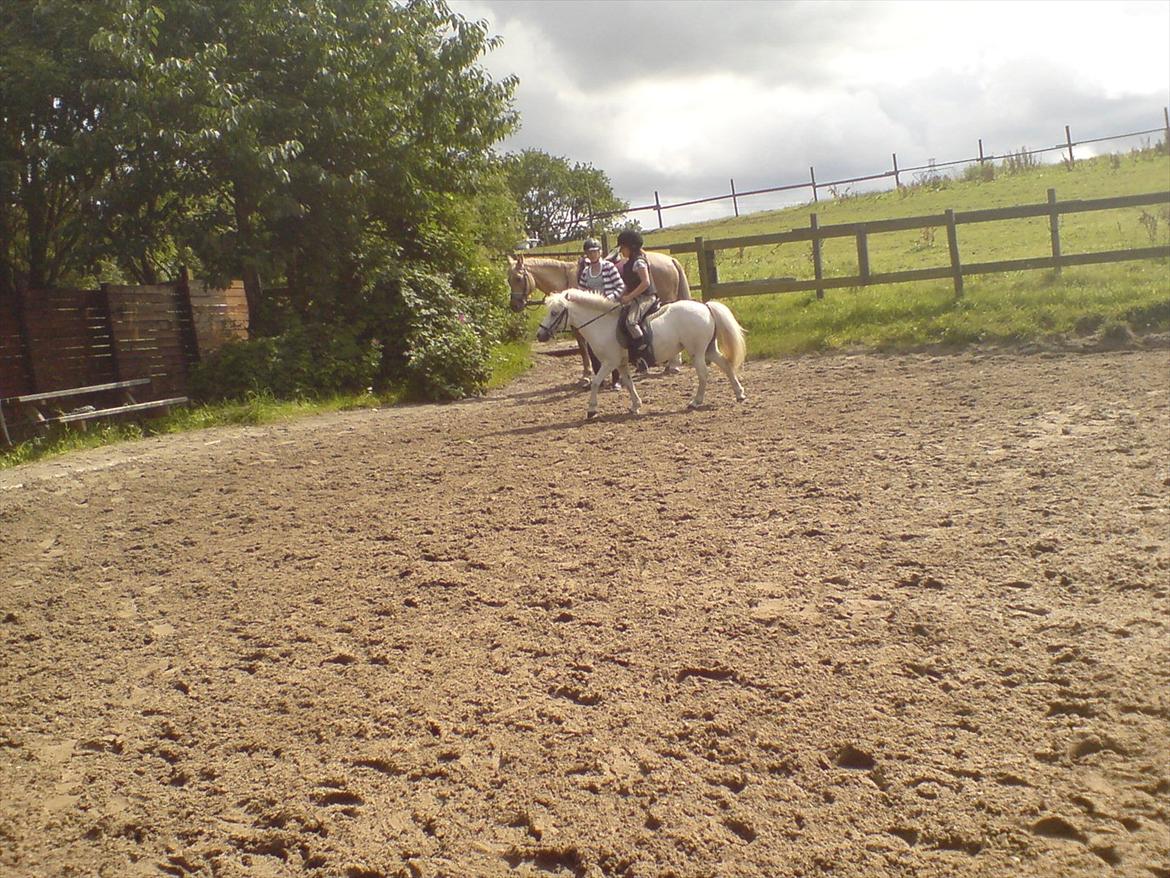 Hygge på Langstruplund Rideskole billede 6