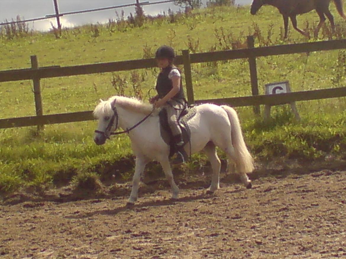 Hygge på Langstruplund Rideskole billede 9