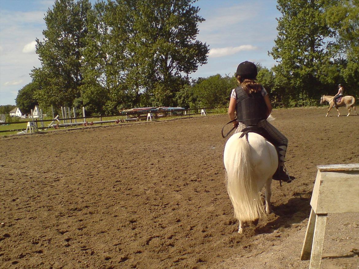 Hygge på Langstruplund Rideskole billede 10