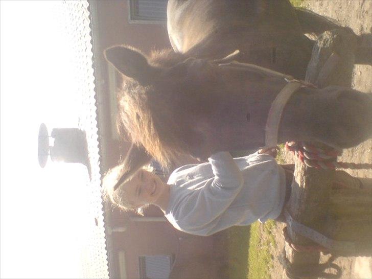 Hygge på Langstruplund Rideskole billede 79