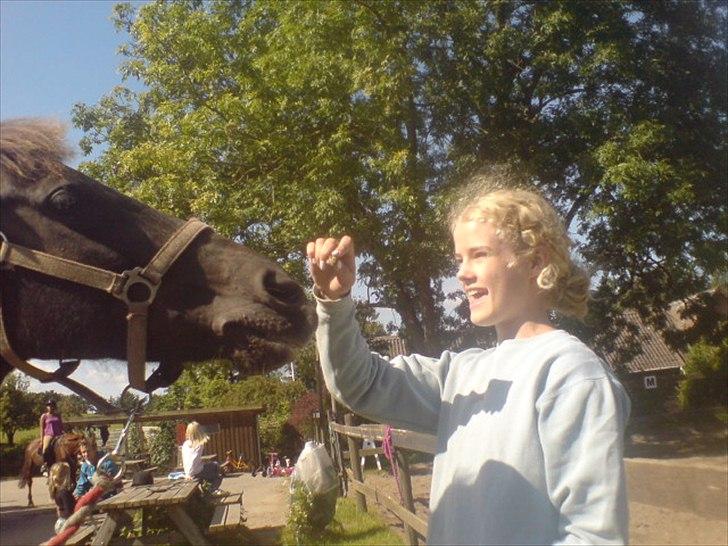 Hygge på Langstruplund Rideskole billede 81