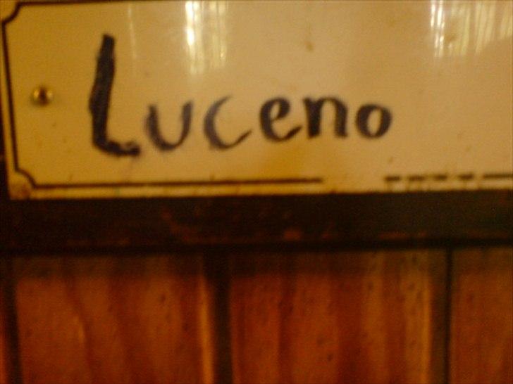 Hygge på Langstruplund Rideskole billede 86