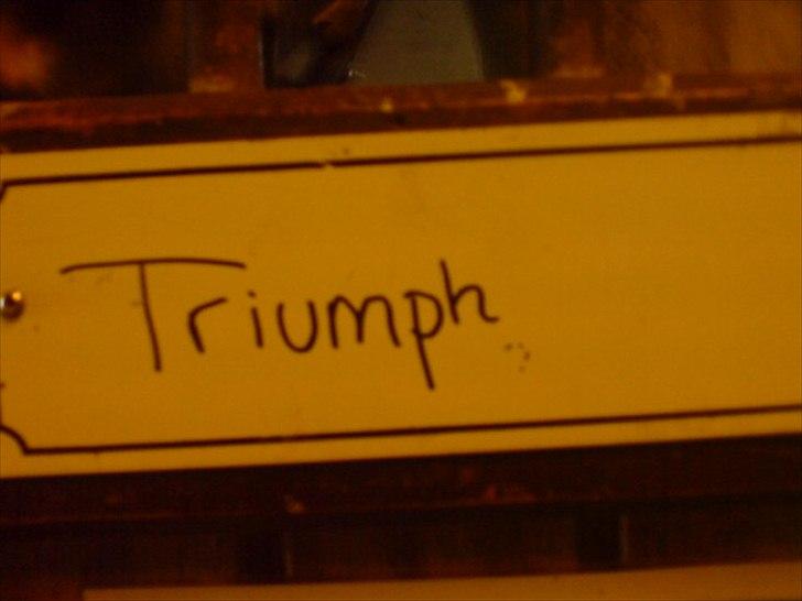 Hygge på Langstruplund Rideskole billede 87