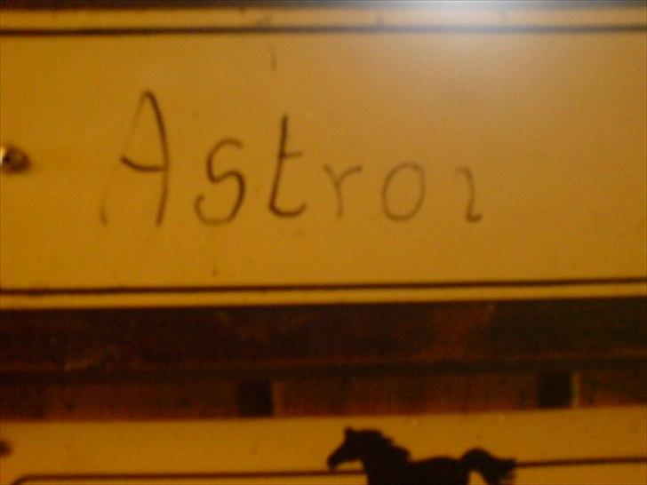 Hygge på Langstruplund Rideskole billede 88