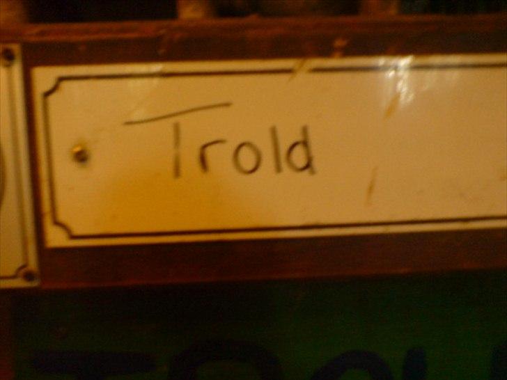 Hygge på Langstruplund Rideskole billede 89