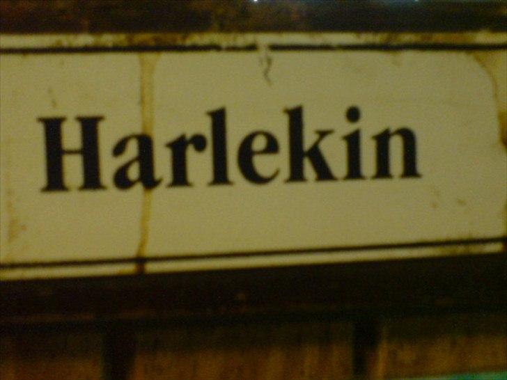 Hygge på Langstruplund Rideskole billede 91