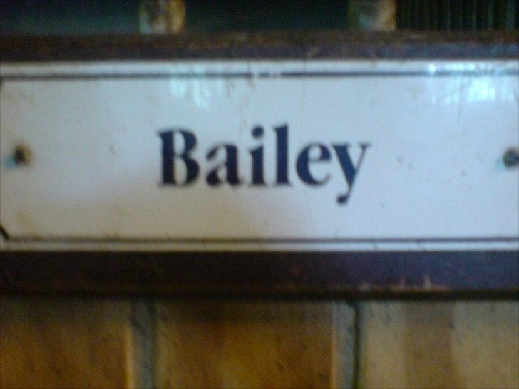 Hygge på Langstruplund Rideskole billede 92