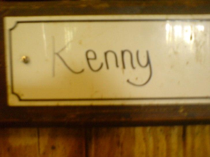 Hygge på Langstruplund Rideskole billede 93