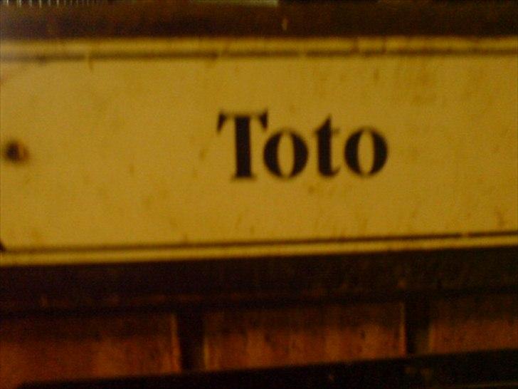 Hygge på Langstruplund Rideskole billede 96