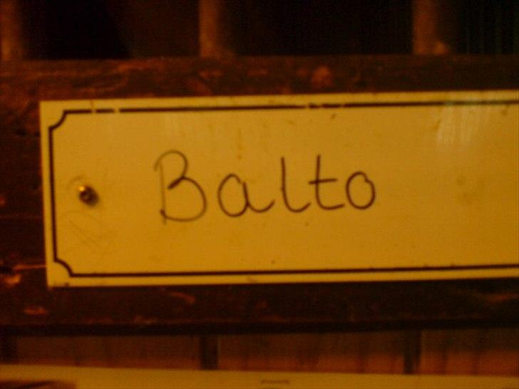 Hygge på Langstruplund Rideskole billede 97