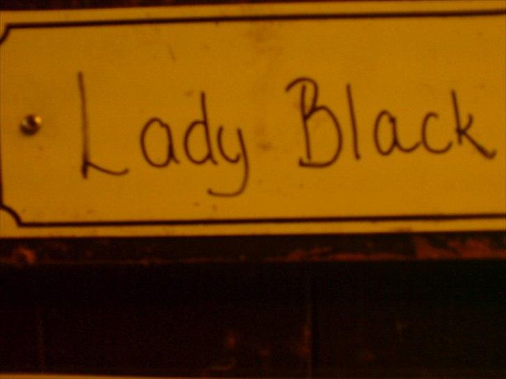 Hygge på Langstruplund Rideskole billede 98