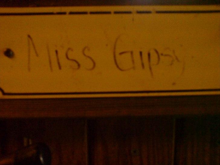 Hygge på Langstruplund Rideskole billede 99