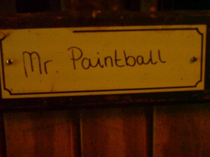 Hygge på Langstruplund Rideskole billede 100