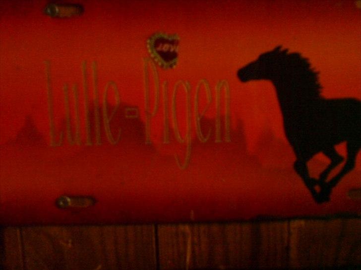 Hygge på Langstruplund Rideskole billede 101