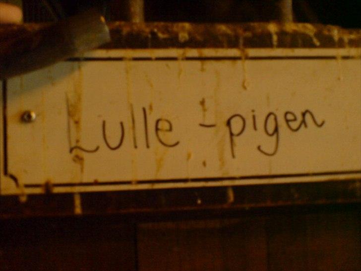 Hygge på Langstruplund Rideskole billede 102