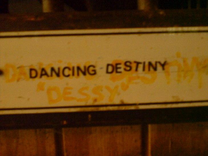 Hygge på Langstruplund Rideskole billede 103