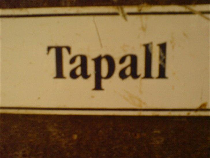 Hygge på Langstruplund Rideskole billede 104