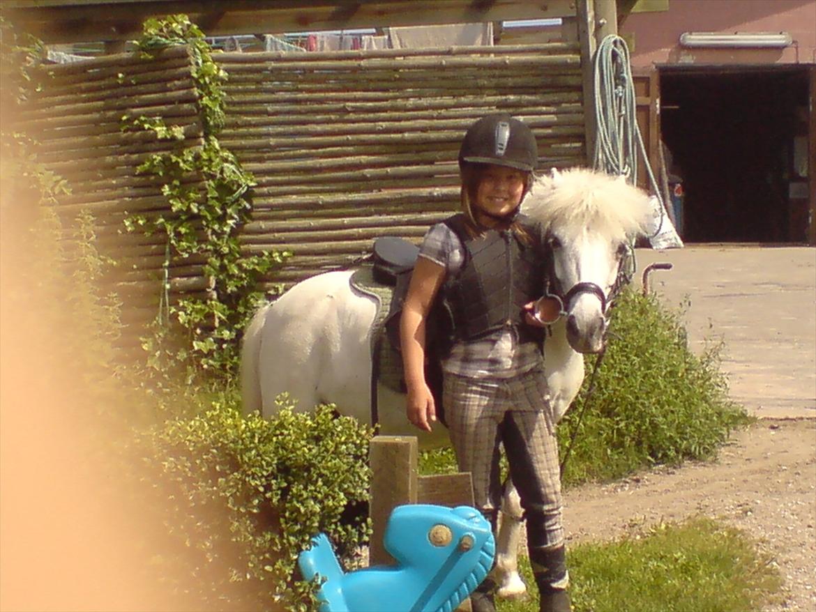 Hygge på Langstruplund Rideskole billede 116