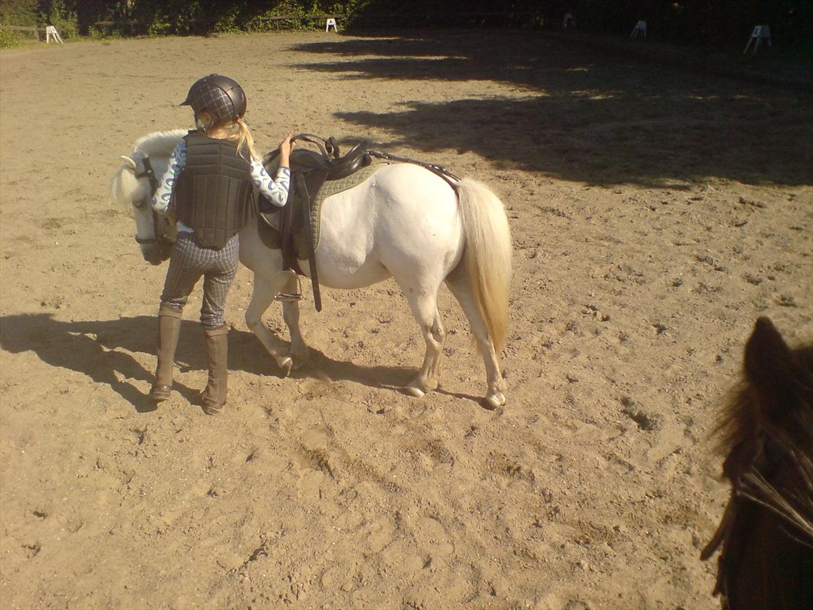 Hygge på Langstruplund Rideskole billede 123