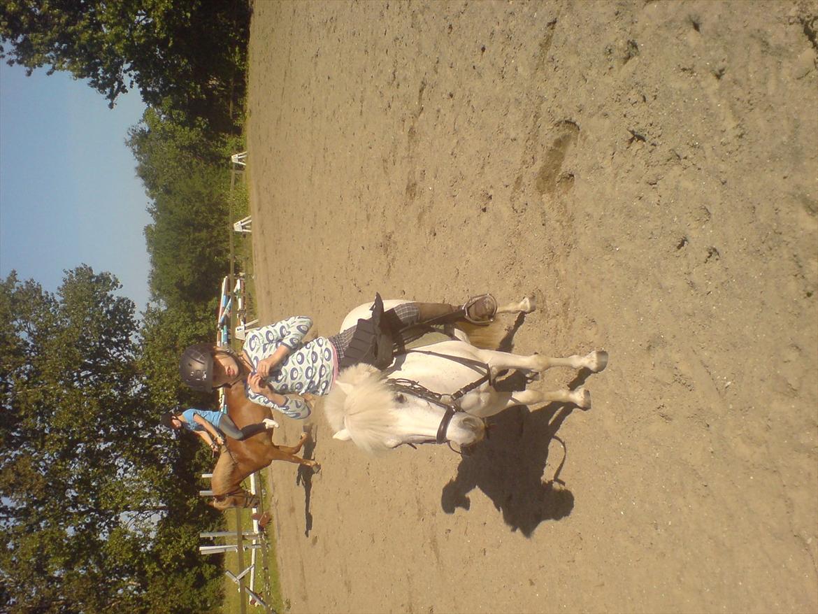 Hygge på Langstruplund Rideskole billede 125