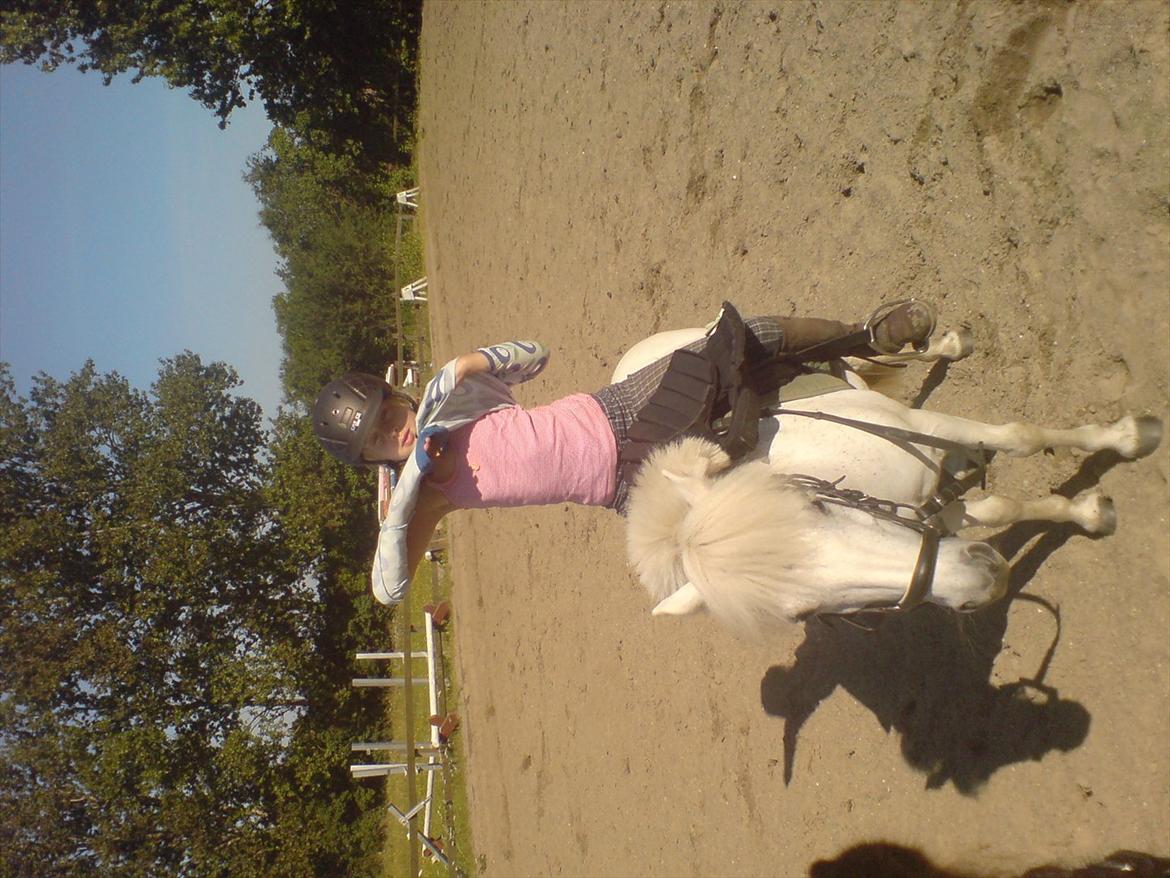 Hygge på Langstruplund Rideskole billede 126