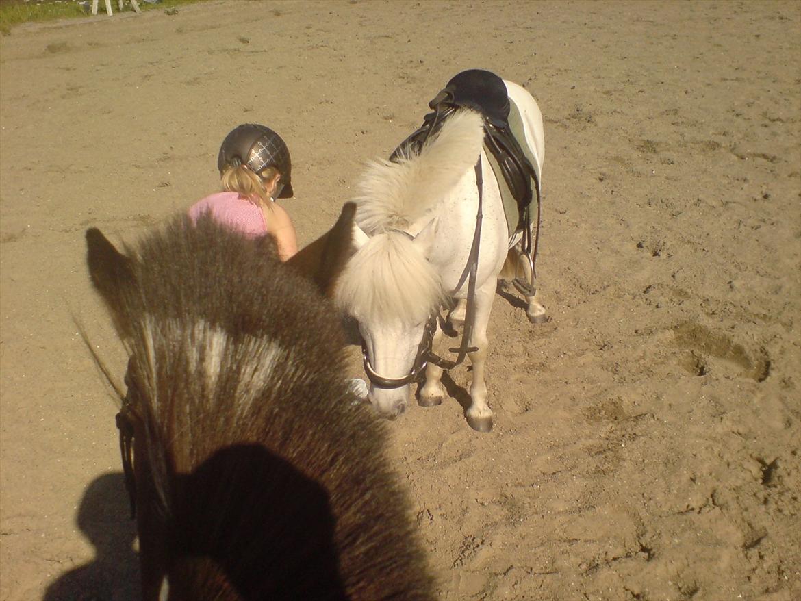 Hygge på Langstruplund Rideskole billede 127