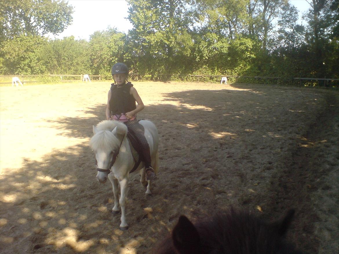 Hygge på Langstruplund Rideskole billede 128