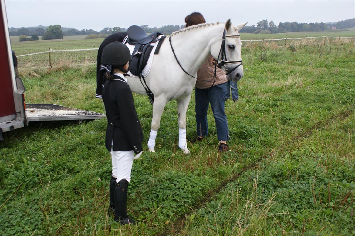 Dressur stævne i Hesselrød Rideklub billede 2