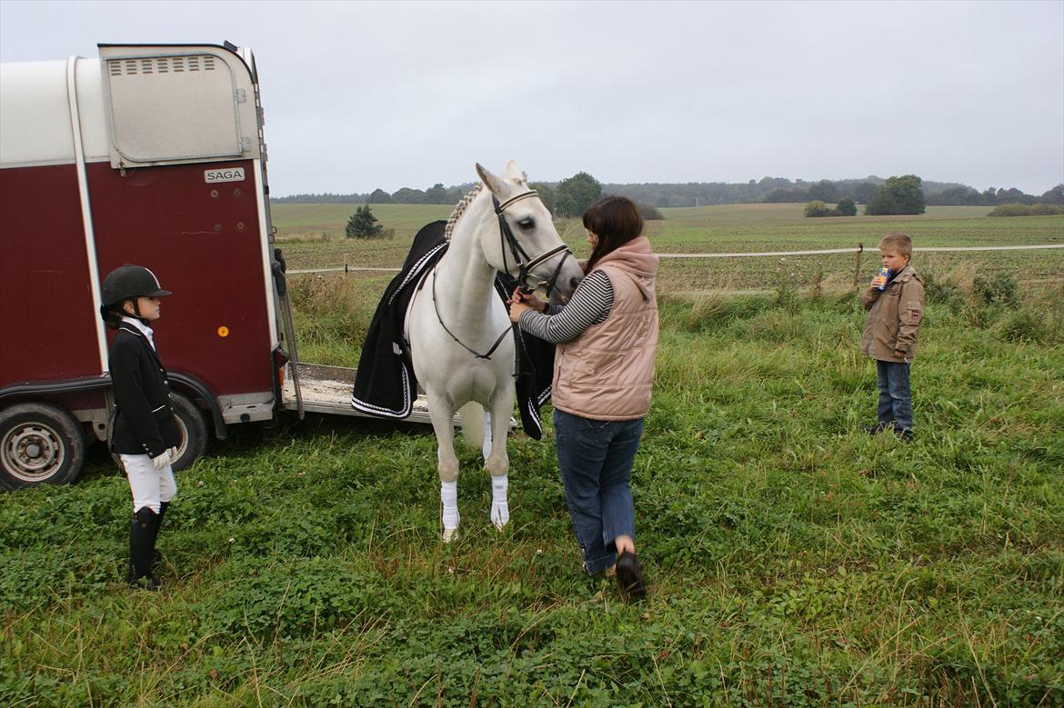 Dressur stævne i Hesselrød Rideklub billede 3
