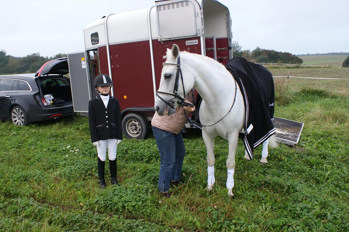 Dressur stævne i Hesselrød Rideklub billede 1