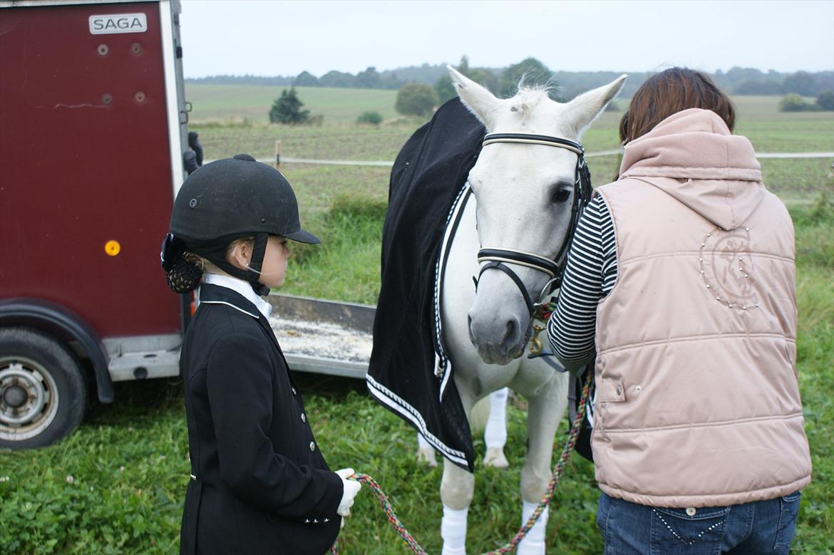 Dressur stævne i Hesselrød Rideklub billede 5