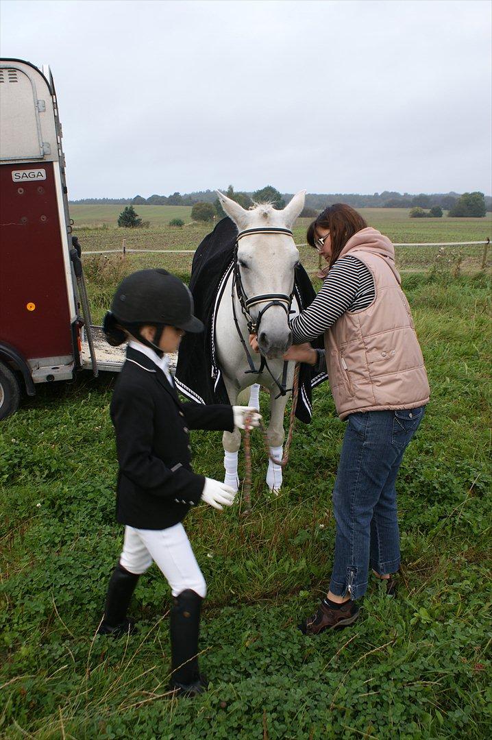 Dressur stævne i Hesselrød Rideklub billede 6