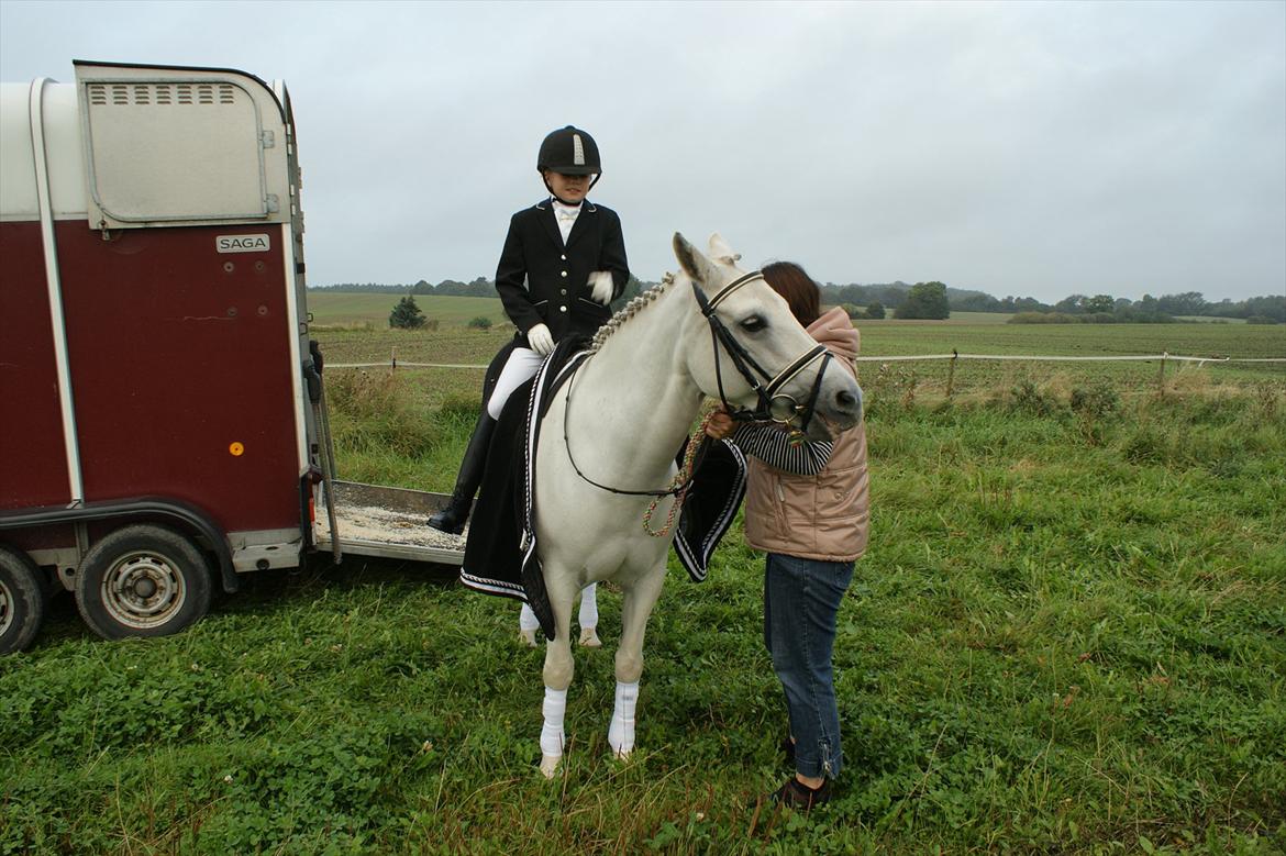Dressur stævne i Hesselrød Rideklub billede 7