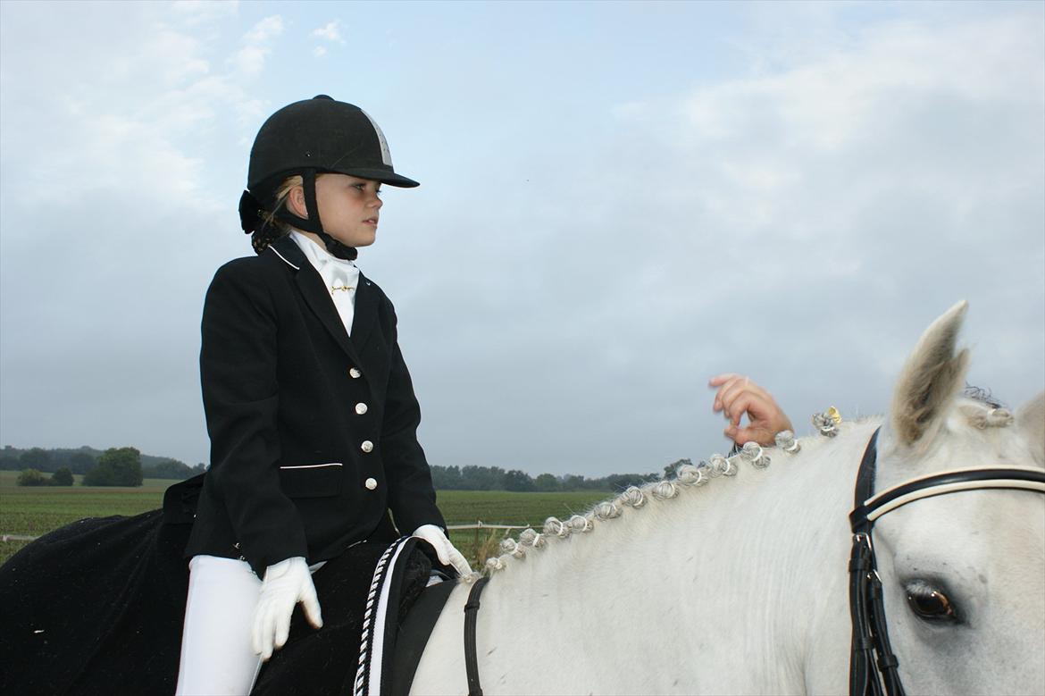 Dressur stævne i Hesselrød Rideklub billede 8