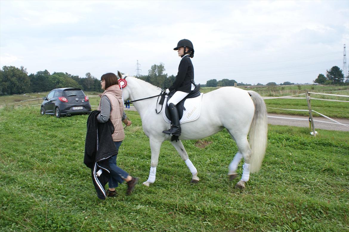 Dressur stævne i Hesselrød Rideklub billede 15