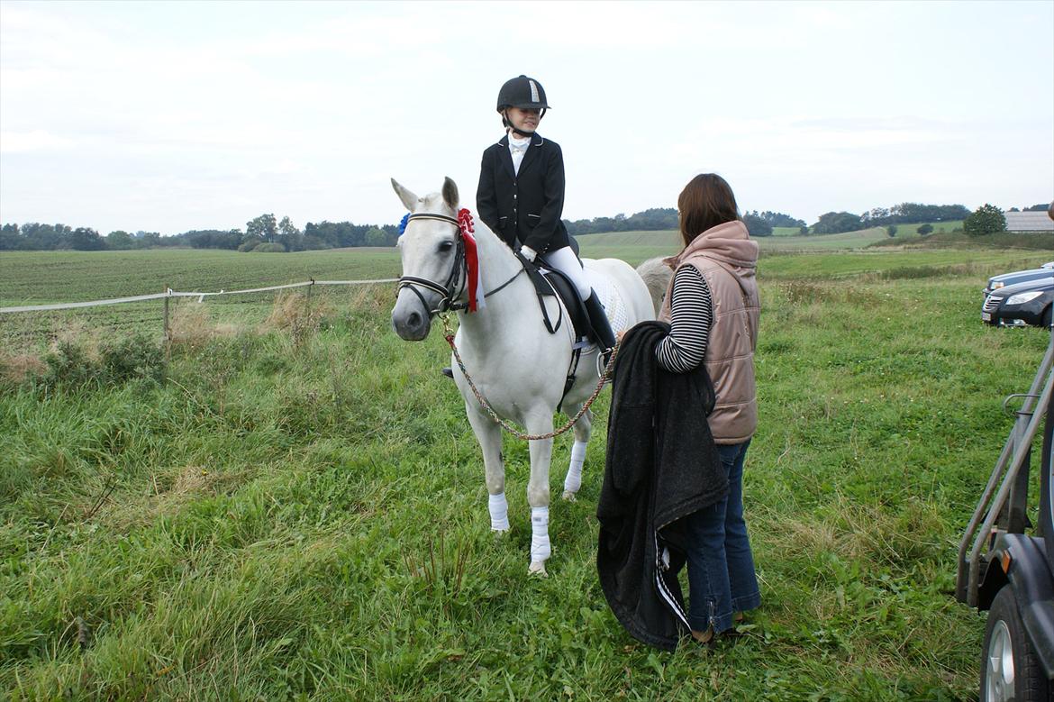 Dressur stævne i Hesselrød Rideklub billede 16