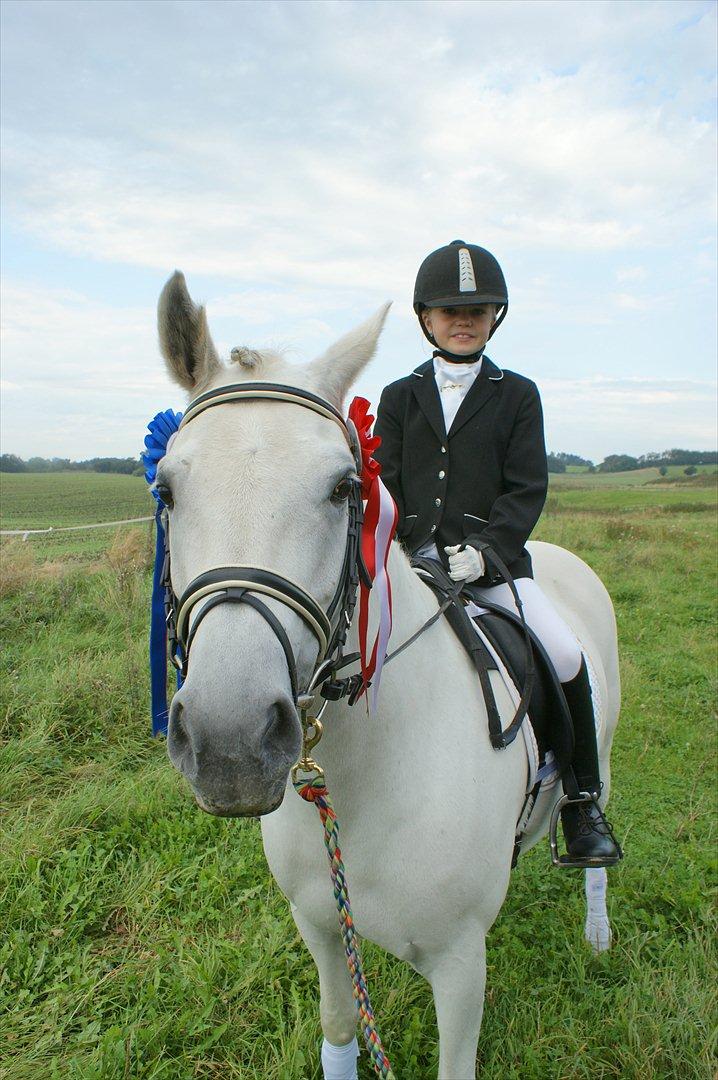 Dressur stævne i Hesselrød Rideklub billede 18