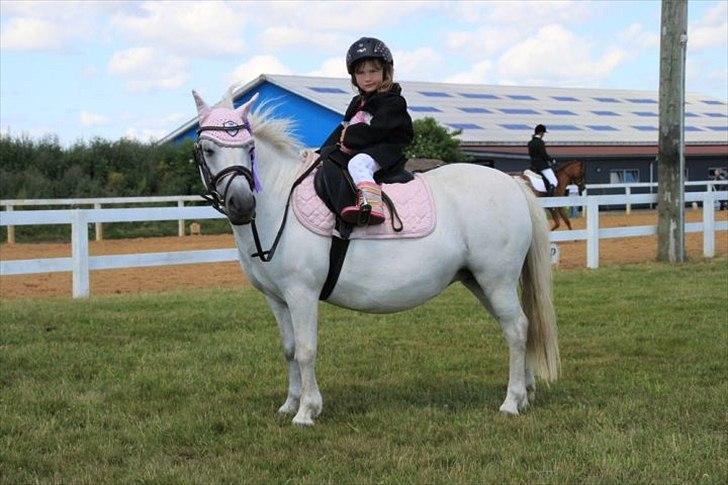 Lucky - Lillesøster Melanie, har nu arvet Lucky og var i Juli 2011 til deres 2. stævne. Hodsager Rideklub - Trækkeholdsopvisning. Lucky og Mel var rigtig søde. Vandt striglesæt og lilla roset billede 2