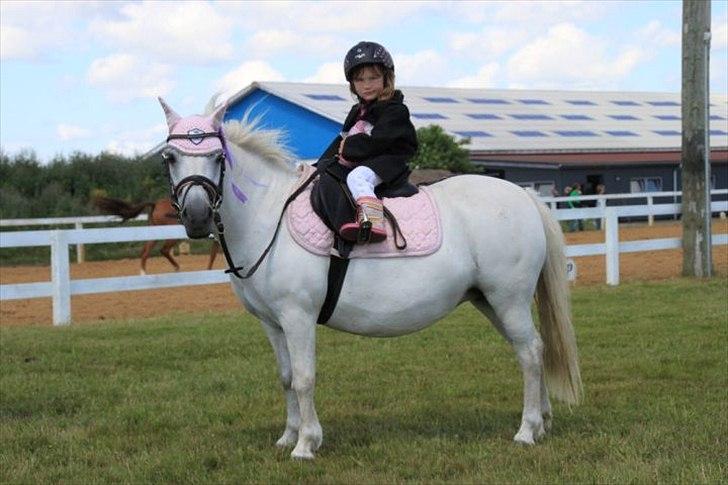Lucky - Lillesøster Melanie, har nu arvet Lucky og var i Juli 2011 til deres 2. stævne. Hodsager Rideklub - Trækkeholdsopvisning. Lucky og Mel var rigtig søde. Vandt striglesæt og lilla roset billede 1