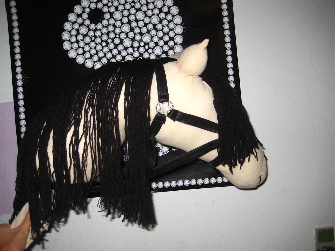 Hjemmelavet kæpheste - unavngivet billede 1