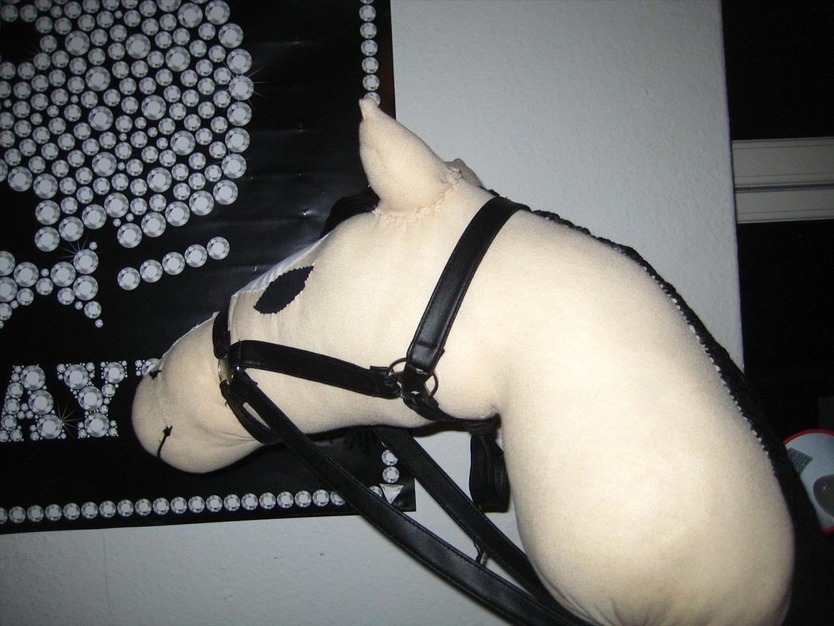 Hjemmelavet kæpheste - unavngivet billede 2