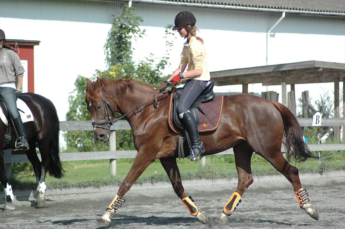 Alt muligt billede 31