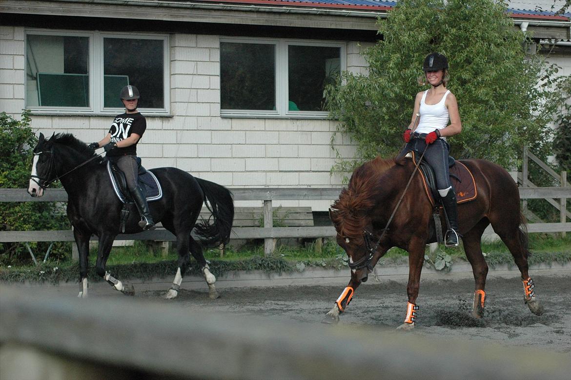 Alt muligt billede 33