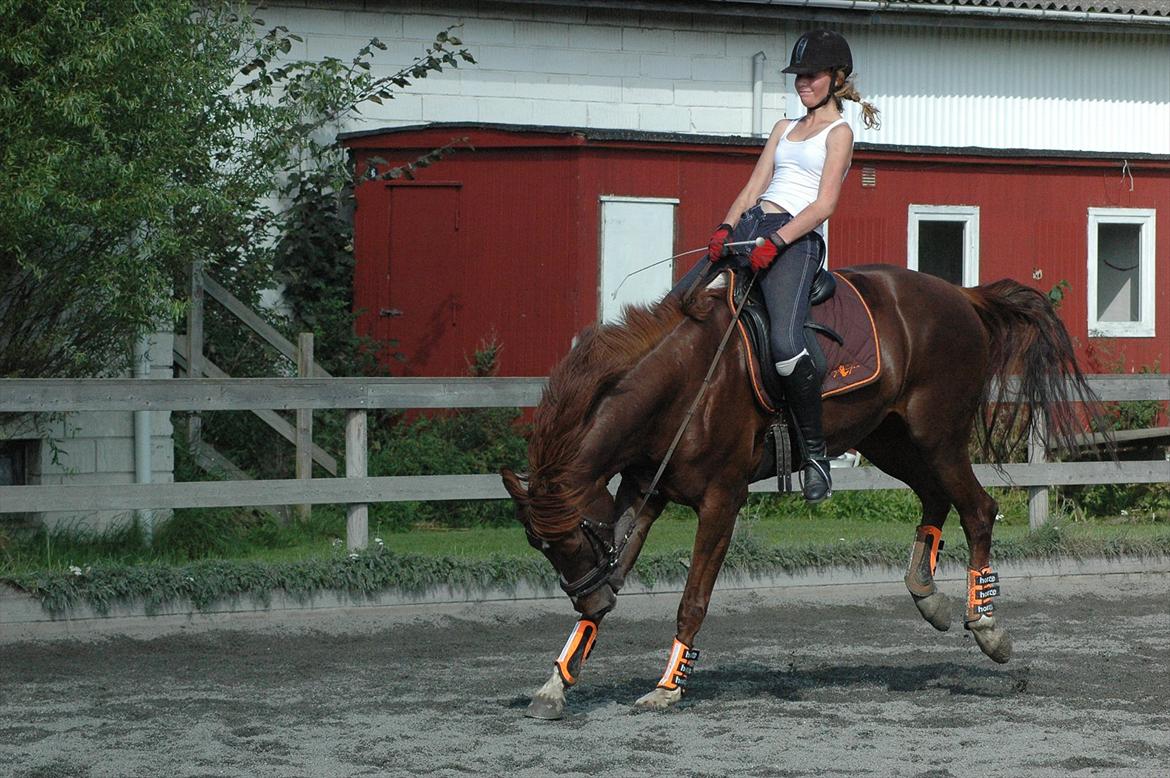 Alt muligt billede 35