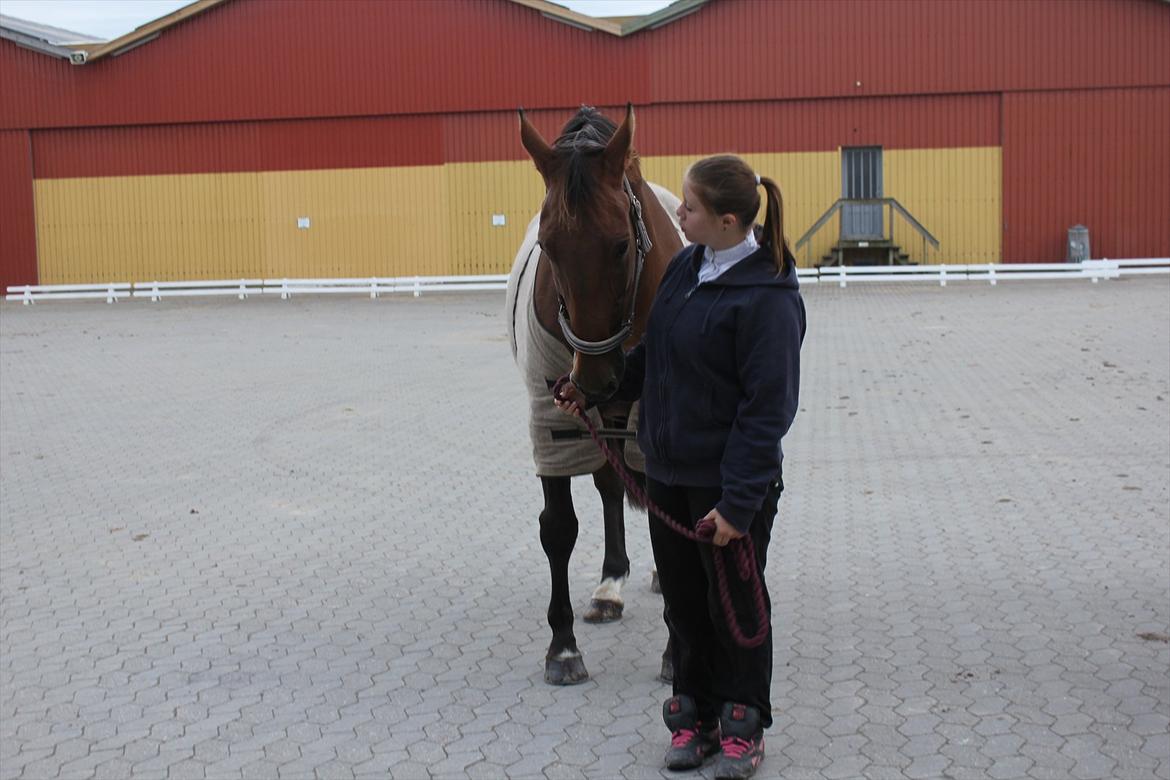 Stævne i Ågerupgård Sportsrideklub  d. 17 se billede 3